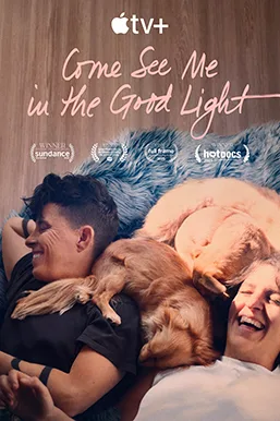 Official theatrical poster for Come See Me in the Good Light (2025)