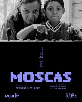 Official theatrical poster for Flies (2026)