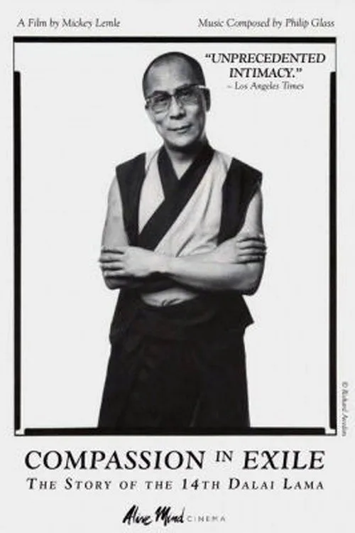 Official theatrical poster for Like Water for Chocolate (1992)