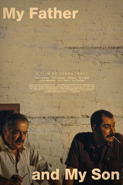 Official theatrical poster for Organize İşler (2005)