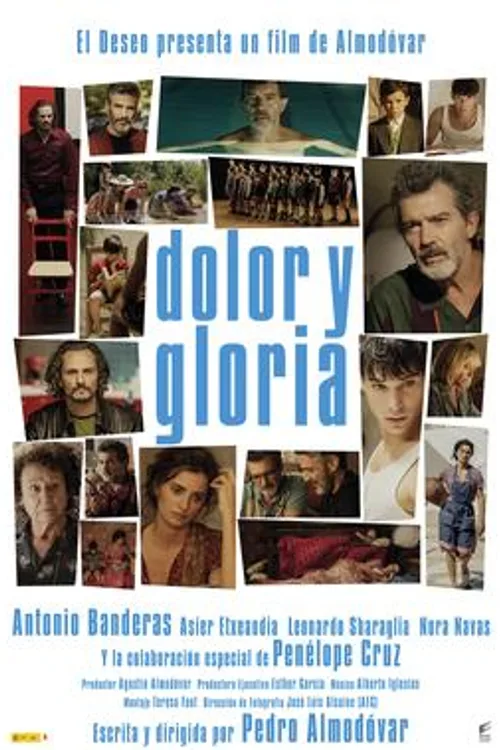 Official theatrical poster for Pain and Glory (2019)